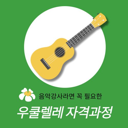 [실시간 온라인]우쿨렐레 전문지도사 자격과정